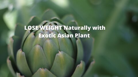 Lose Weight Easily with Tropical Plant