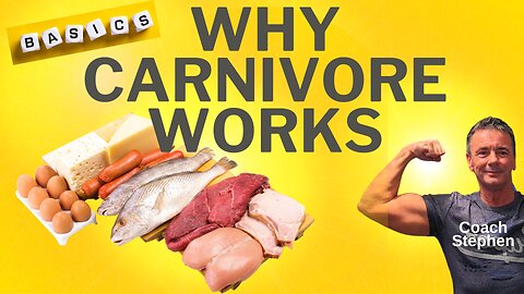 The Benefits of the Carnivore Diet (the Basics of why it works)