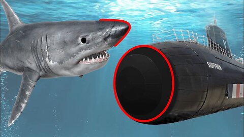 Pourquoi les sous marins modernes ont des nez arrondis?