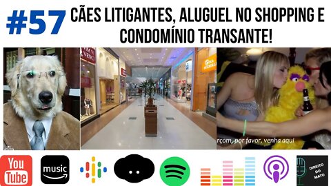 #57 CÃES LITIGANTES, ALUGUEL NO SHOPPING E CONDOMÍNIO TRANSANTE!