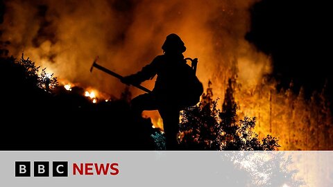Wildfires in Hawaii, Canada and Tenerife cause concern - BBC News
