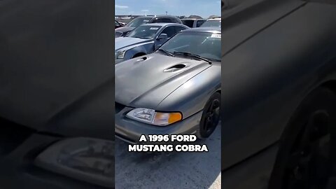 Mustang Cobra 1996 Runs And Drives Under $100 Crazy Deals At Auction