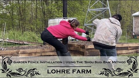 Garden Fence Installation | Using The 'Shou Sugi Ban' Method