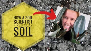 HOW TO FIX CLAY SOIL FOR A VEGETABLE GARDEN? A SOIL SCIENTISTS TRICK & TIPS | Gardening in Canada