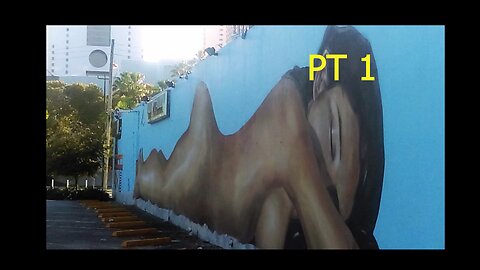 MIAMI HUMAN BEAUTY OF ST ART PT1 AND LESSONS LEARNED #artsy #miami #beats