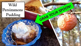 Homestead Baking: Wild Persimmons Pudding - Grab a spoon!