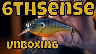 6thSense Unboxing - Fall Lure Box - Pats new bait subscription