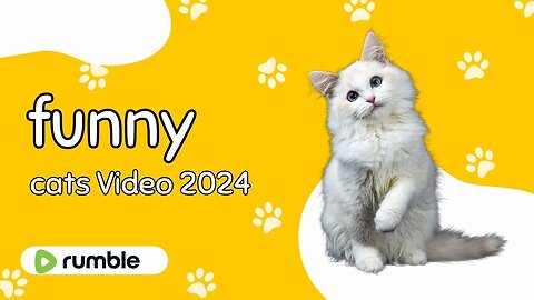 Funny Cats 2024 | Cats Comedy Dance | Animals Funny Video