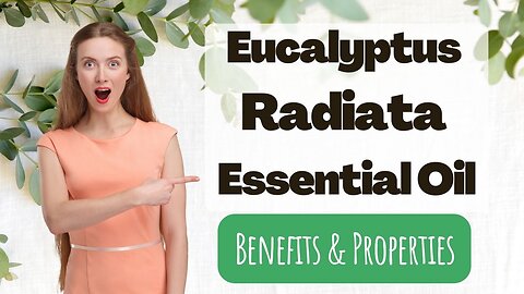 Eucalyptus Radiata Essential Oil - The hidden gem of the plant world.