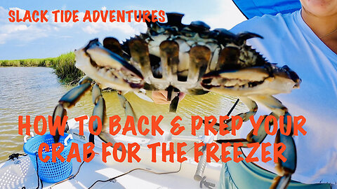 Backing and Prepping Blue Crabs for the Freezer: A Slack Tide How To