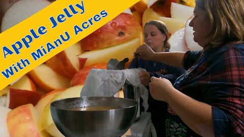 A Fun Day Making Apple Jelly With MiAnU Acres