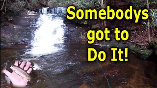 Only One Way to Find Out | Tributary Trout Fly Fishing