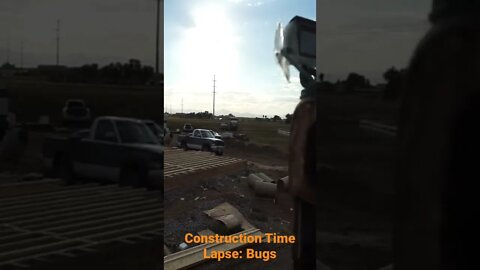 Construction Time Lapse: Bugs