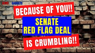 Senate Red Flag Deal Crumbling! Texans Turn On Cornyn!