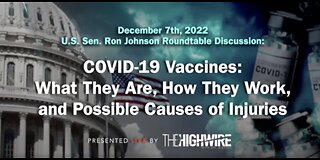 COVID-19 Vaccines: What They Are, How They Work and Possible Causes of Injuries