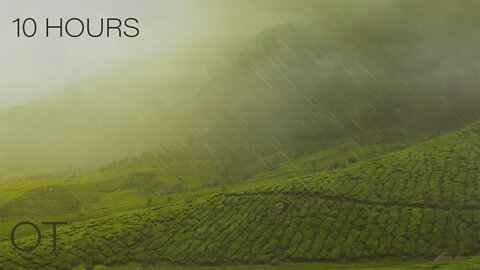 Rainy Afternoon in Munnar | Soothing Rain Sounds For Sleeping | Relaxation | Studying | 10 HOURS