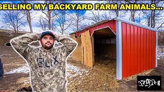 I had to sell some of my BACKYARD FARM ANIMALS