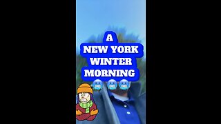 New York Winters Are Brutal!