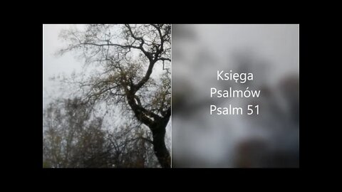 Księga Psalmów - Psalm 51