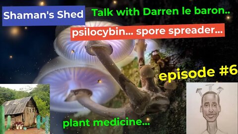 # 6 Talk with Darren le Baron | psilocybin, spirituality, sustainable living and more.