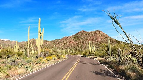Scenic Drive Through Saguaro National Park: Tucson Mountain District in 4k