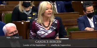 Canadian MP to Trudeau: Canada IS NOT A Dictatorship, Even Though He Admires It