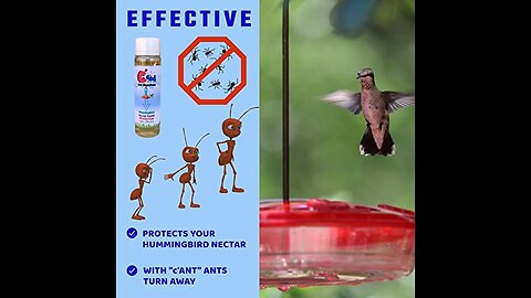 Perky-Pet 245L Ant Guard for Bird Feeders-Single (2)