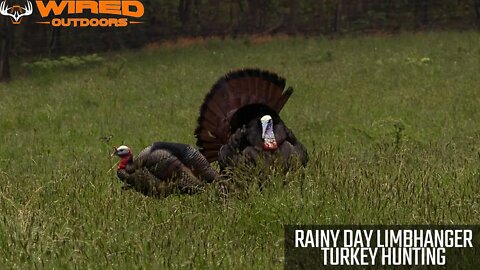 Rainy Day Limbhanger - Turkey Hunting Success