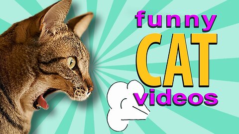 Funny 🤣😁 animals video