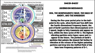 DNA, THE MORPHOGENETIC WAVE, THE HALLS OF AMENTI, AND THE DOREADESHI During the five-year period p