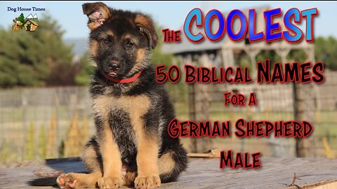 The Coolest 50 Biblical Names for a German Shepherd Male