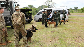 Military Working Dogs Explosives Ordinance Disposal Hanuman Guardian 2023