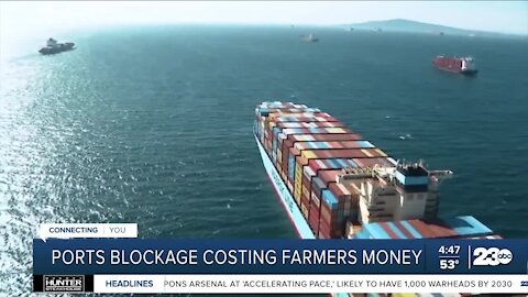 Los Angeles ports blockage costing farmers money