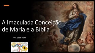 CATOLICUT - A Imaculada Conceição de Maria e a Bíblia