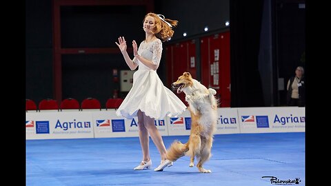 Dog Dancing World Championship Anastasiia Beaumont and border collie Yuki