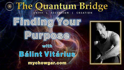 Finding Your Purpose - with Bálint Vitárius