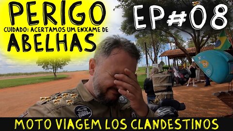 CUIDADO, PERIGO. Acertamos um ENXAME DE ABELHAS de MOTO. Moto Viagem Los Clandestinos Ep#08