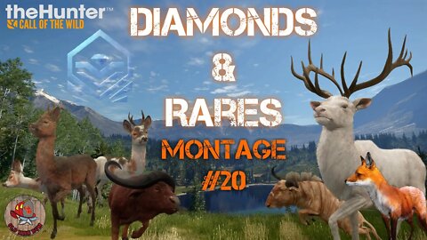 Diamonds & Rares Montage #20 Console - theHunter Call of the Wild