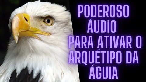 🦅Poderoso Áudio - Para Ativar o Arquétipo Da ÁGUIA.