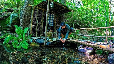 7 Days SURVIVAL Camping In RAIN Forest, THUNDER, Building Warm BUSHCRAFT SHELTER, Primitive BRIDGE