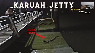 MONSTER EELS AND RAYS! - LANDBASED PORT STEPHENS JETTY FISHING