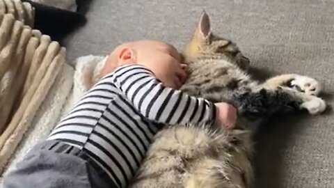Baby preciously cuddles cat for nap time