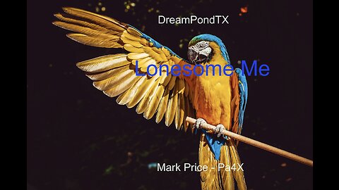 DreamPondTX/MarkPrice - Lonesome Me (Pa4X at the Pond, PP)
