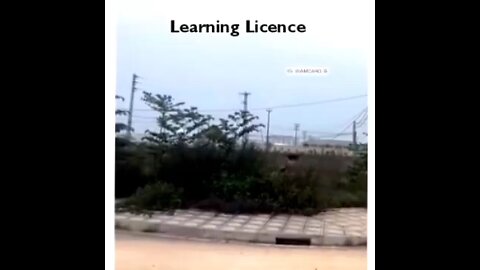 Learning Licence