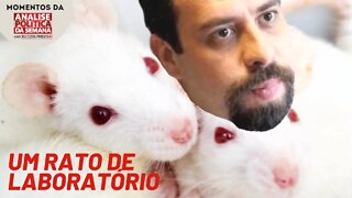 Boulos é um rato de laboratório | Momentos Análise Política da Semana