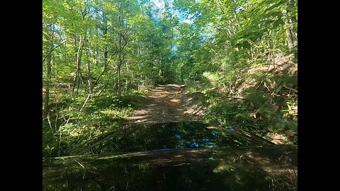 Forest Trail near Chattooga River