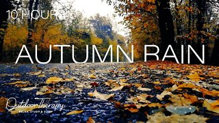 AUTUMN RAIN sounds AMBIENCE | Relax | Study | Sleep | 10 HOURS