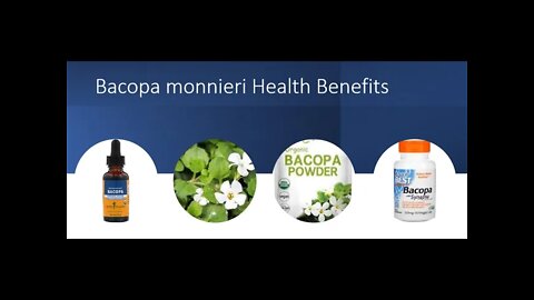 Bacopa's Brain Benefits