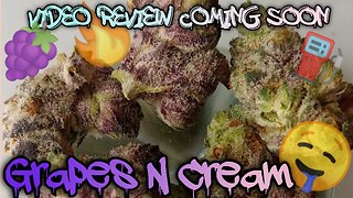 #109 Grapes N Cream (Video Review Coming Soon) MUV Dispensary Product