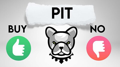 Pit token. Should you buy Pitbull coin?